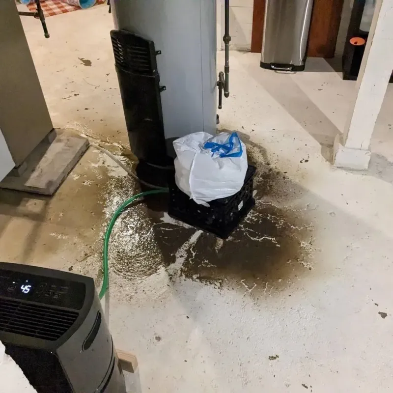 Sewage Backup Cleanup Service in Boiling Springs, SC